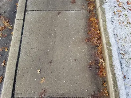 winter sidewalk with salt on pavement, scattered leaves, and snow on the curb
