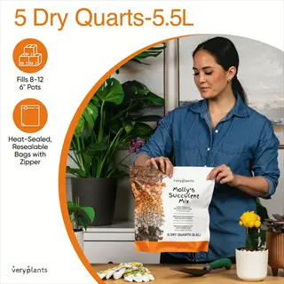 woman demonstrating a topsoil bag (molly's succulent mix, 5 dry quarts) with icons showing 'fills 8-12 pots' and 'resealable bag' in a plant-filled gardening setting