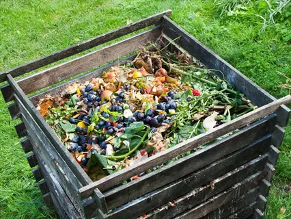 wooden compost bin with organic matter decomposition for a kale garden, featuring fruit/vegetable scraps and plant material in a grassy setting