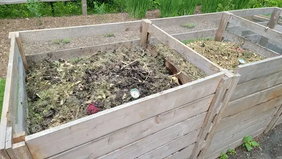 wooden garden compost pile bins holding decomposing organic matter (leaves, plant debris) in a lush garden setting