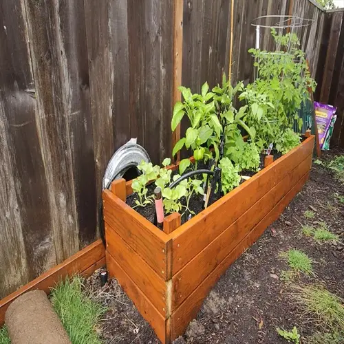 wooden raised garden bed with various plants against a weathered wooden fence in a backyard