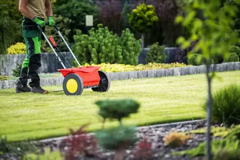 worker applying 10-10-10 garden fertilizer with red broadcast spreader on a lush green lawn in a landscaped garden